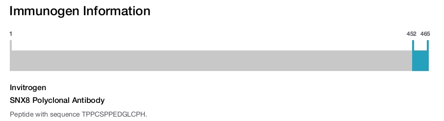 SNX8 Polyclonal Antibody