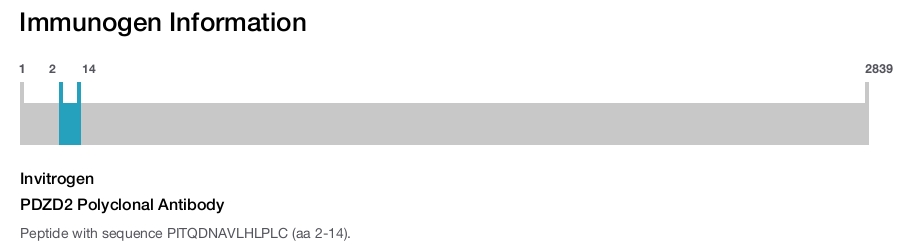 PDZD2 Polyclonal Antibody