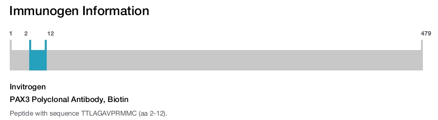 PAX3 Polyclonal Antibody, Biotin