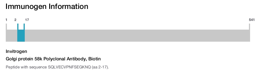 Golgi protein 58k Polyclonal Antibody, Biotin