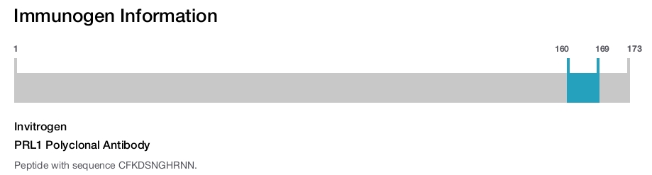 PRL1 Polyclonal Antibody