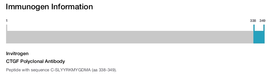 CTGF Polyclonal Antibody