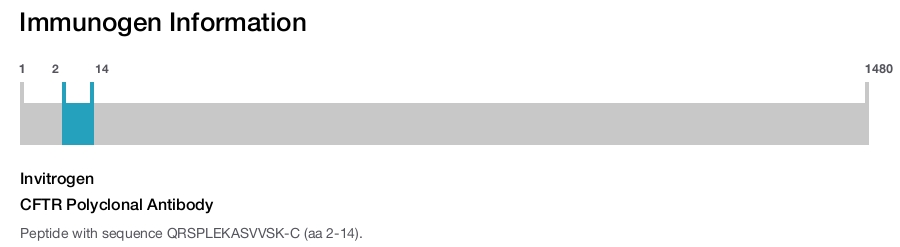 CFTR Polyclonal Antibody