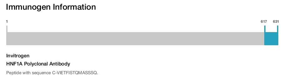 HNF1A Polyclonal Antibody