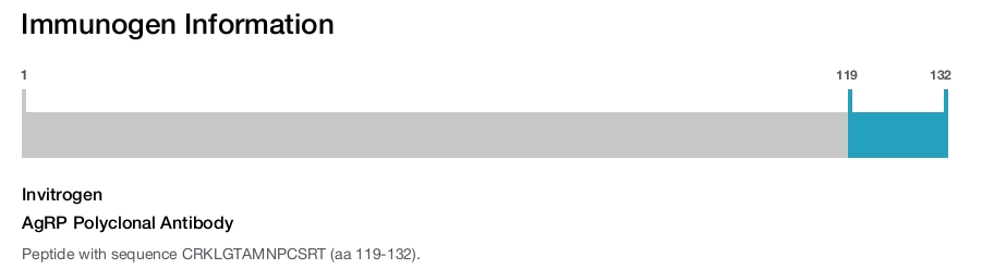 AgRP Polyclonal Antibody