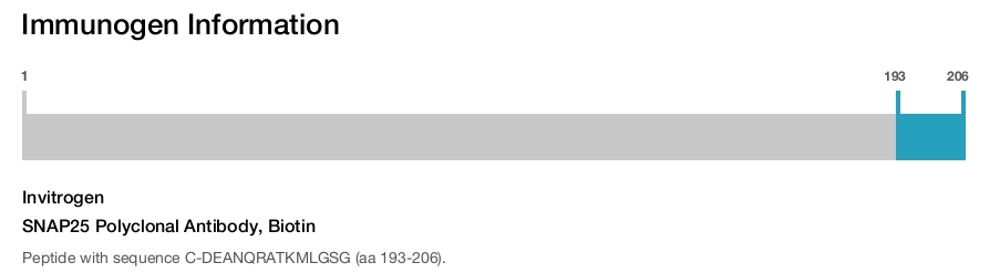 SNAP25 Polyclonal Antibody, Biotin