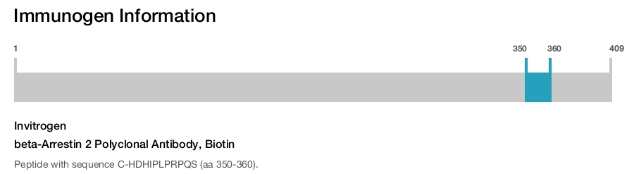 beta-Arrestin 2 Polyclonal Antibody, Biotin