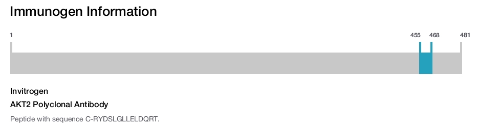 AKT2 Polyclonal Antibody