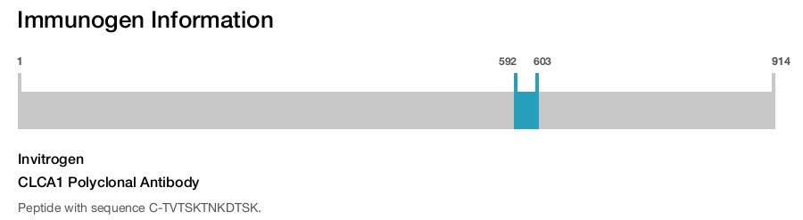 CLCA1 Polyclonal Antibody