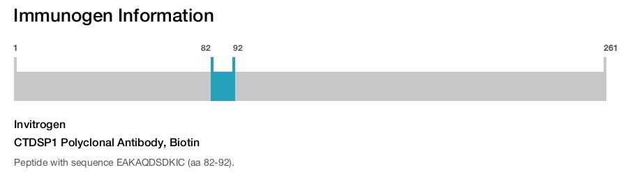 CTDSP1 Polyclonal Antibody, Biotin