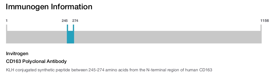 CD163 Polyclonal Antibody