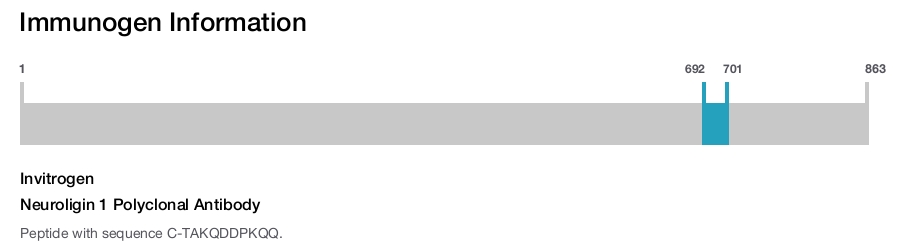 Neuroligin 1 Polyclonal Antibody