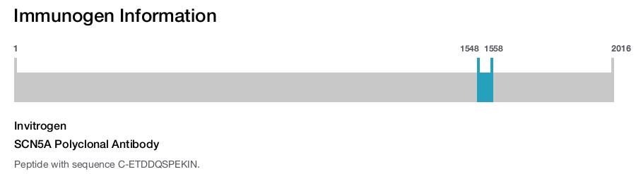SCN5A Polyclonal Antibody