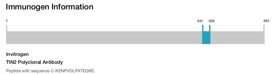 TIN2 Polyclonal Antibody