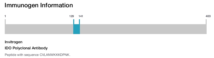 IDO Polyclonal Antibody