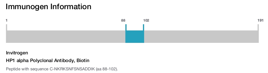 HP1 alpha Polyclonal Antibody, Biotin
