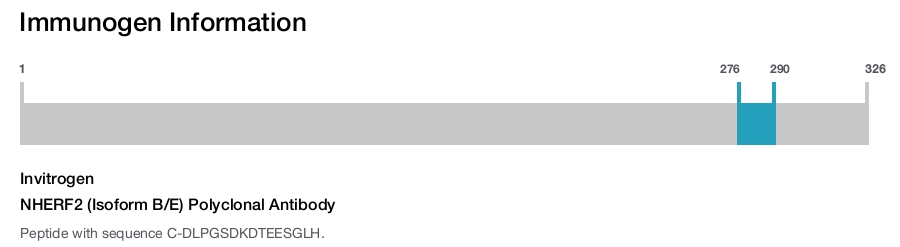 NHERF2 (Isoform B/E) Polyclonal Antibody