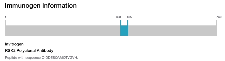RSK2 Polyclonal Antibody