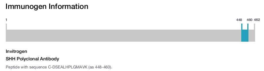 SHH Polyclonal Antibody