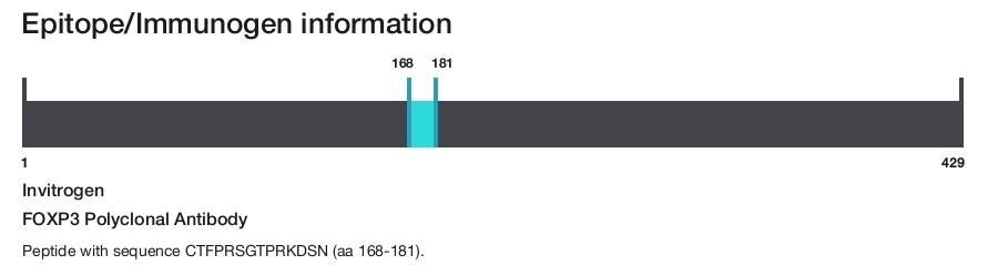 FOXP3 Polyclonal Antibody