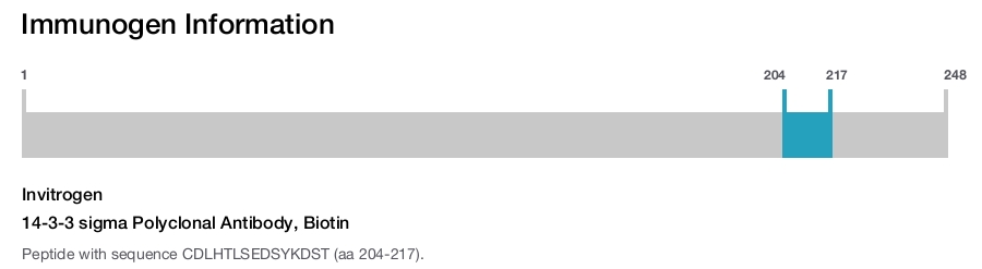 14-3-3 sigma Polyclonal Antibody, Biotin