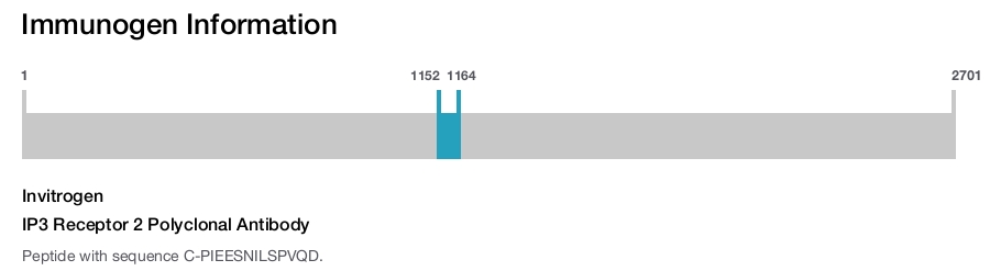 IP3 Receptor 2 Polyclonal Antibody
