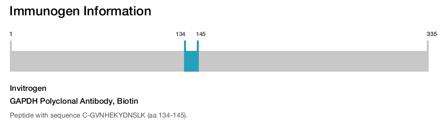 GAPDH Polyclonal Antibody, Biotin
