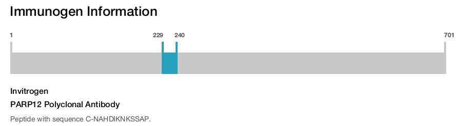 PARP12 Polyclonal Antibody