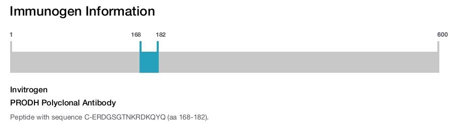 PRODH Polyclonal Antibody