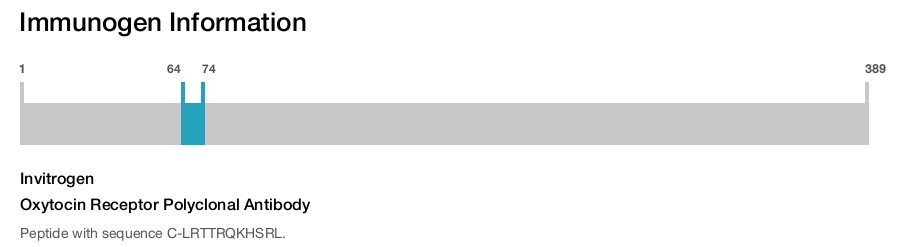 Oxytocin Receptor Polyclonal Antibody