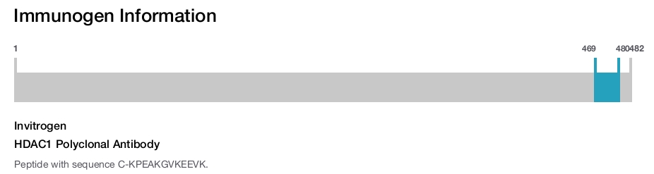 HDAC1 Polyclonal Antibody