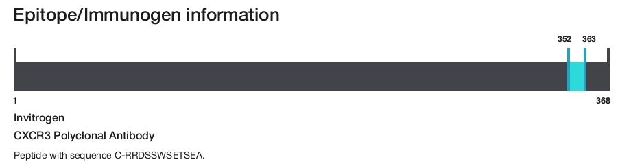 CXCR3 Polyclonal Antibody