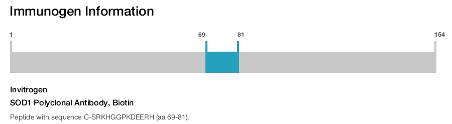 SOD1 Polyclonal Antibody, Biotin