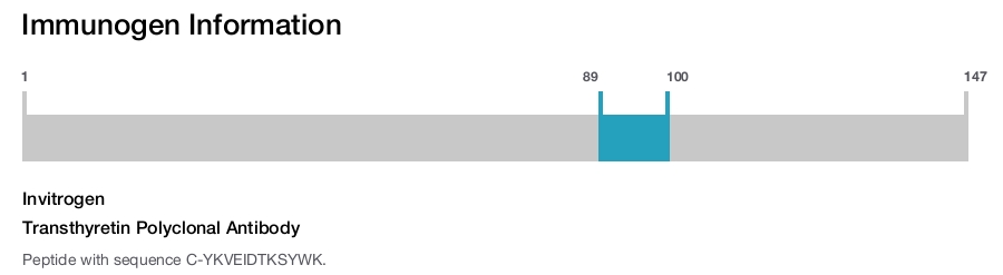 Transthyretin Polyclonal Antibody