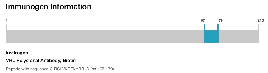 VHL Polyclonal Antibody, Biotin