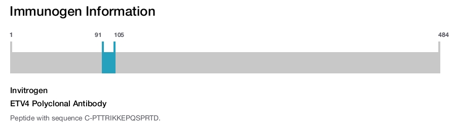 ETV4 Polyclonal Antibody