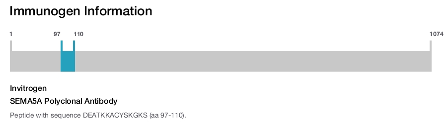 SEMA5A Polyclonal Antibody