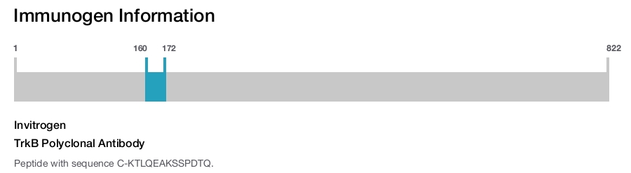 TrkB Polyclonal Antibody