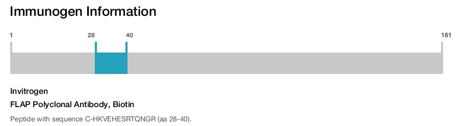 FLAP Polyclonal Antibody, Biotin