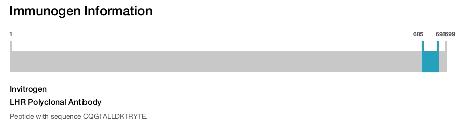 LHR Polyclonal Antibody