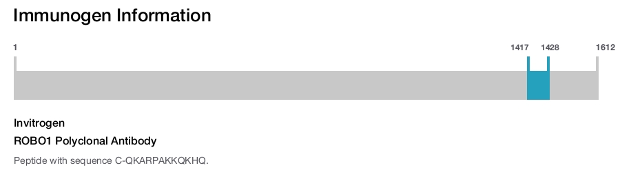 ROBO1 Polyclonal Antibody