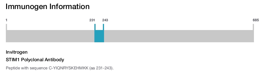 STIM1 Polyclonal Antibody