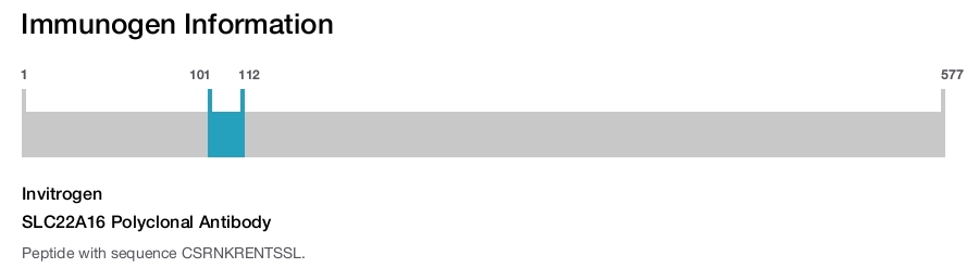 SLC22A16 Polyclonal Antibody