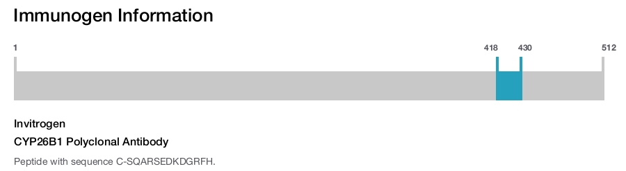 CYP26B1 Polyclonal Antibody