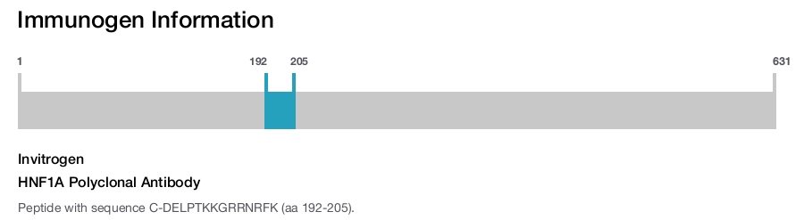 HNF1A Polyclonal Antibody