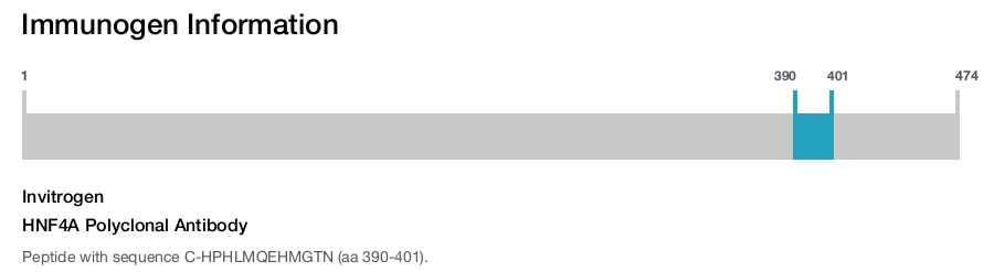 HNF4A Polyclonal Antibody