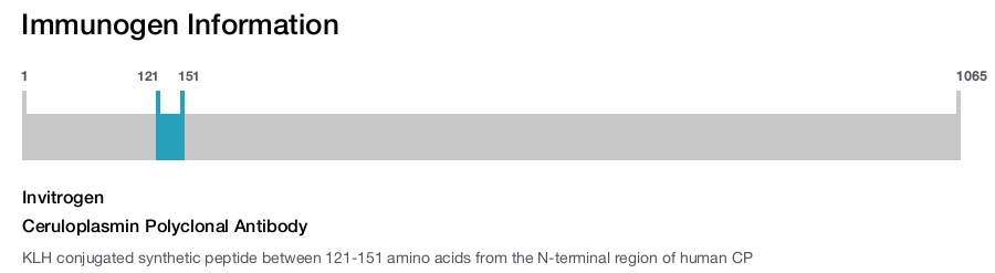 Ceruloplasmin Polyclonal Antibody