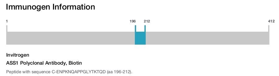 ASS1 Polyclonal Antibody, Biotin