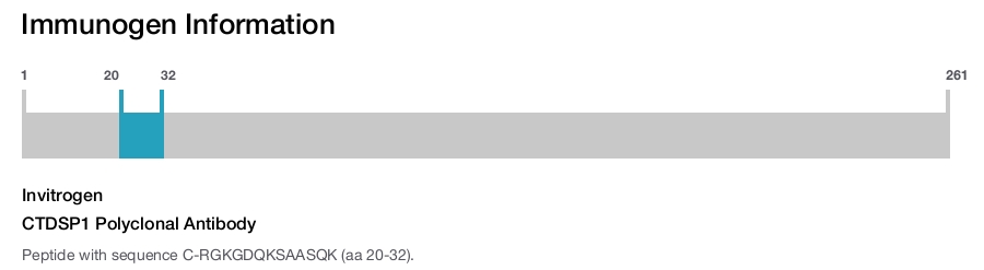 CTDSP1 Polyclonal Antibody