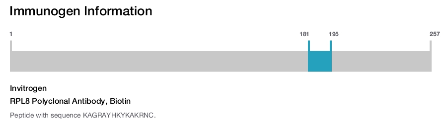 RPL8 Polyclonal Antibody, Biotin